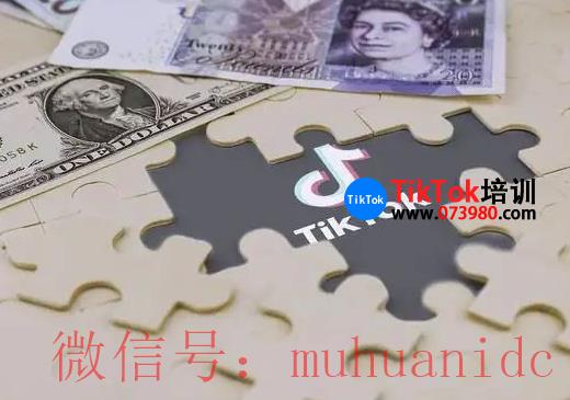 tiktok账号购买平台