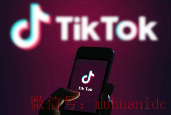 tiktok账号购买平台