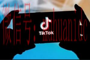 tiktok账号购买平台