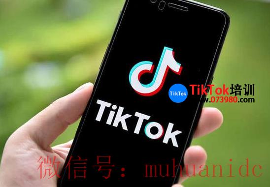 tiktok账号购买平台
