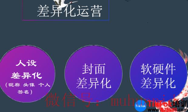 tiktok账号购买平台