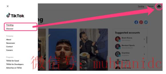 tiktok账号购买平台