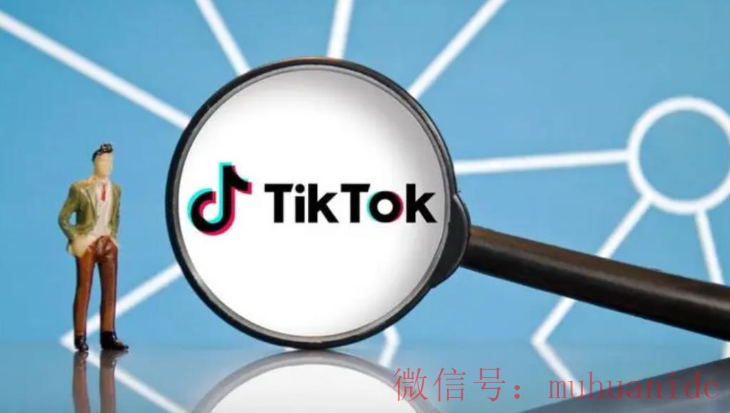 tiktok账号购买平台