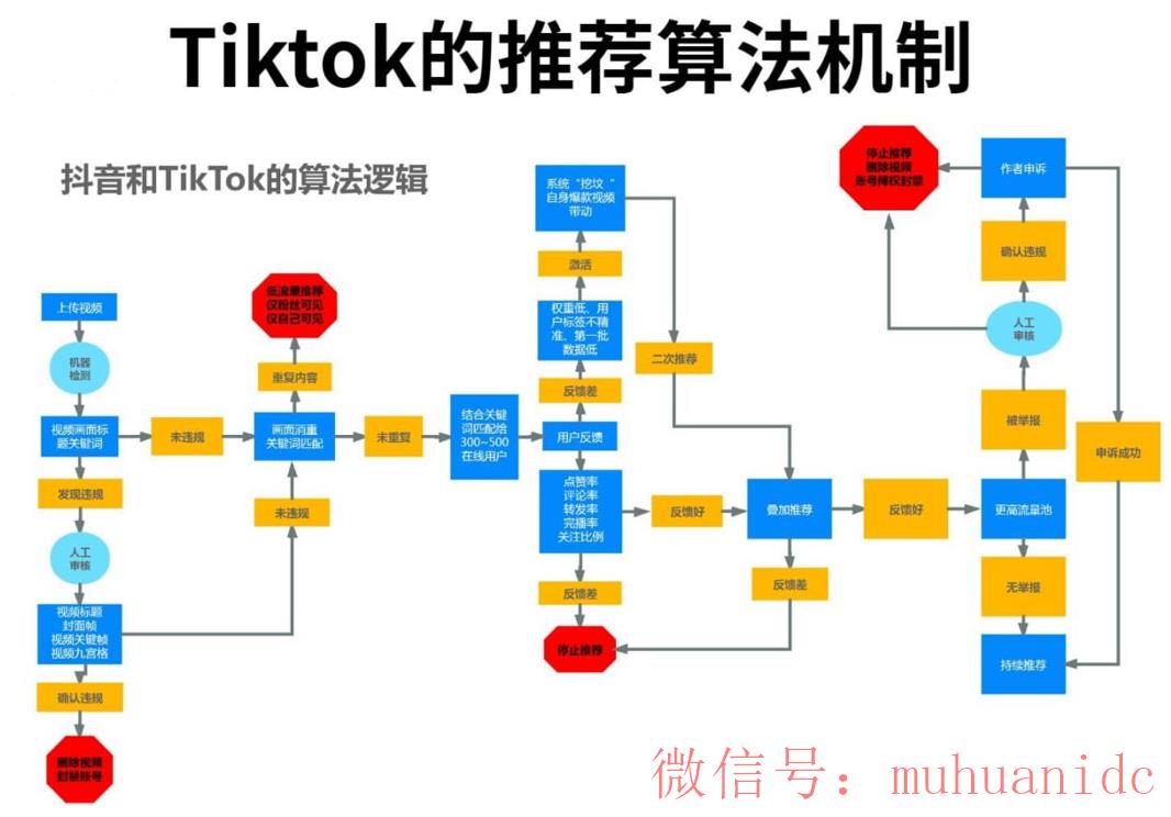 tiktok账号购买平台