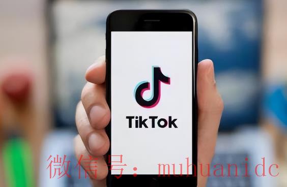 tiktok账号购买平台