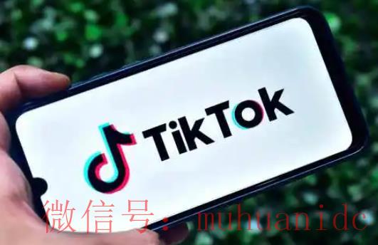 tiktok账号购买平台