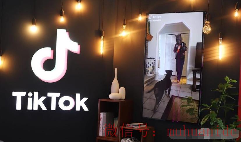 tiktok账号购买平台