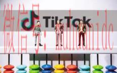 tiktok账号购买平台