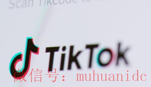 tiktok账号购买平台