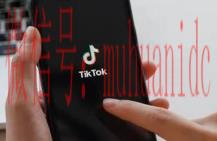 tiktok账号购买平台