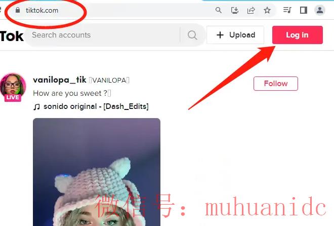 tiktok账号购买平台