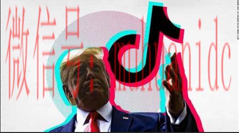 tiktok账号购买平台