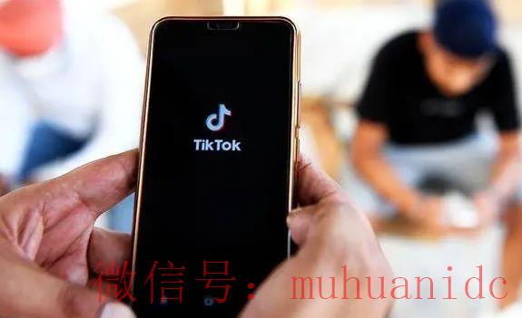 tiktok账号购买平台