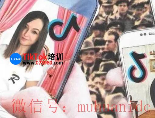 tiktok账号购买平台