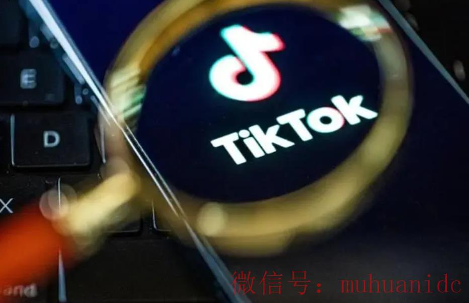 tiktok账号购买平台