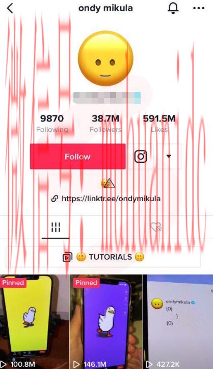 tiktok账号购买平台