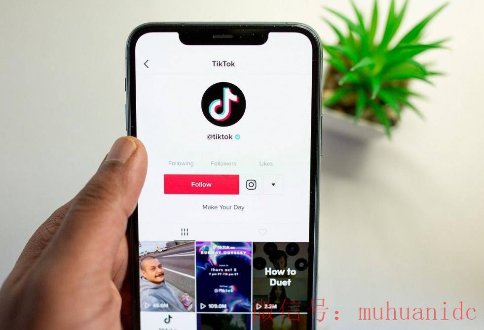 tiktok账号购买平台