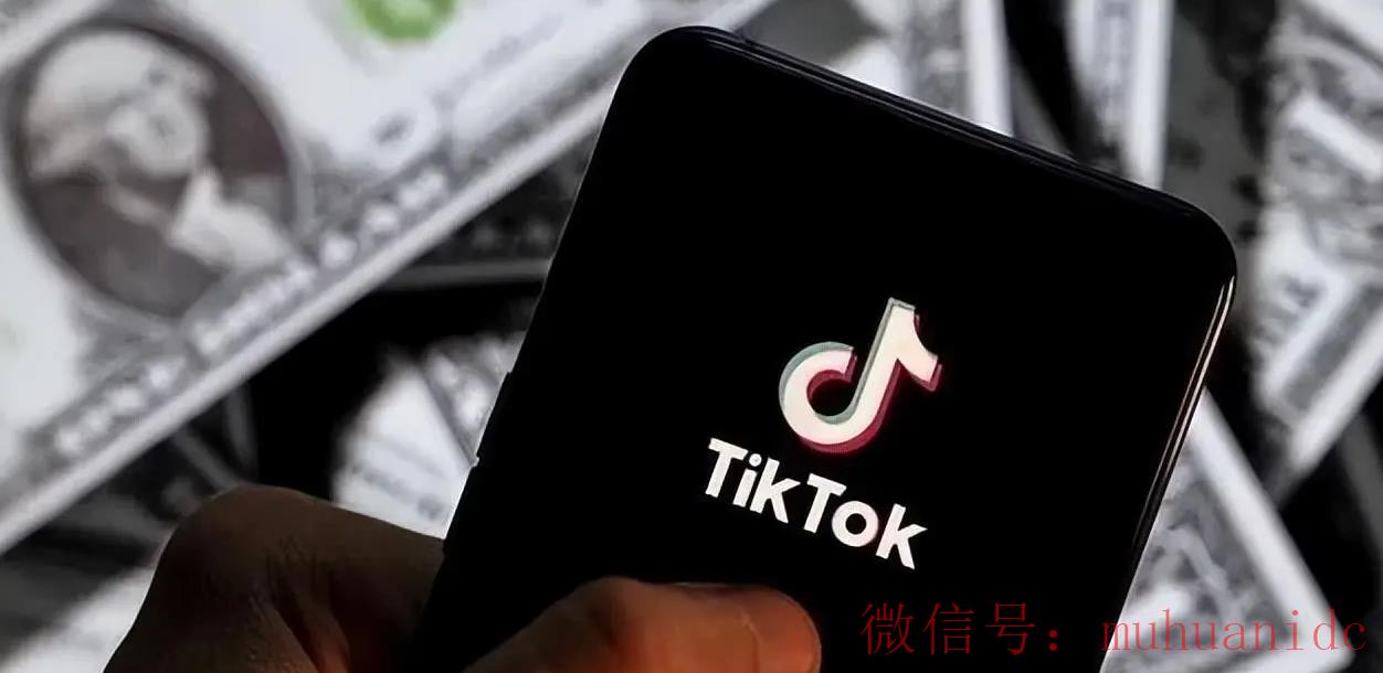 tiktok账号购买平台