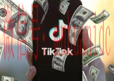 tiktok账号购买平台