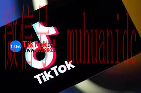 tiktok账号购买平台