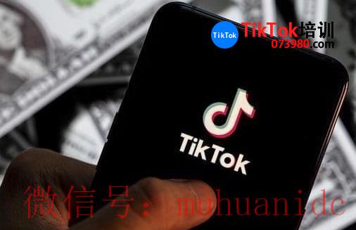 tiktok账号购买平台