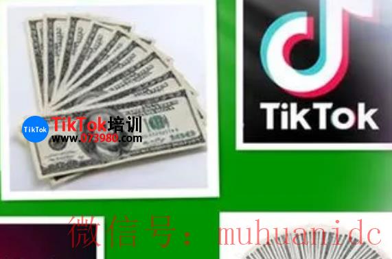 tiktok账号购买平台