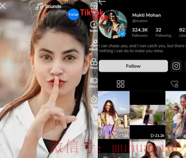 tiktok账号购买平台