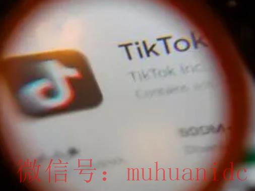 tiktok账号购买平台