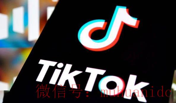 tiktok账号购买平台