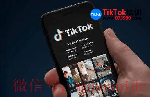 tiktok账号购买平台