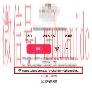 tiktok账号购买平台