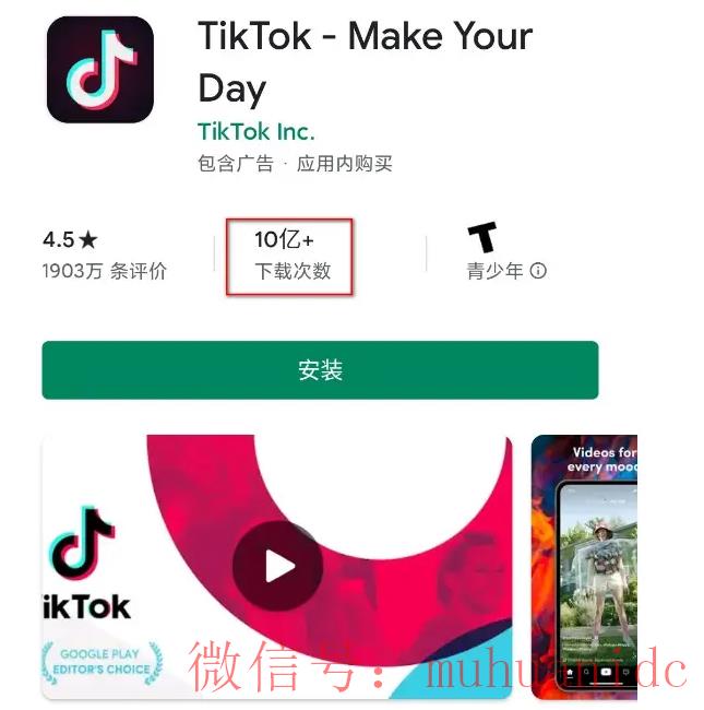 tiktok账号购买平台