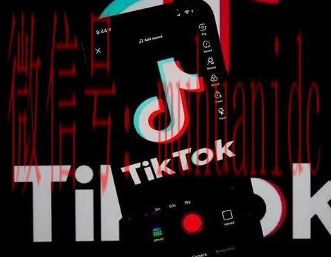 tiktok账号购买平台