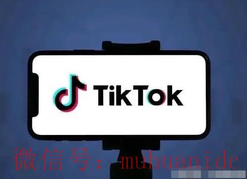 tiktok账号购买平台