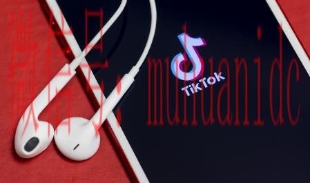 tiktok账号购买平台