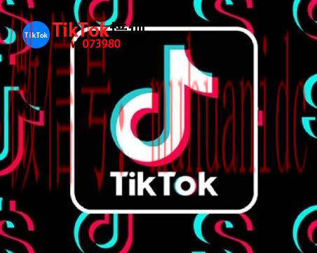 tiktok账号购买平台