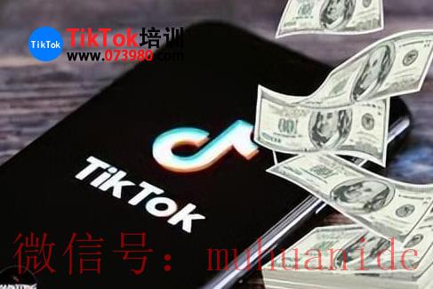 tiktok账号购买平台