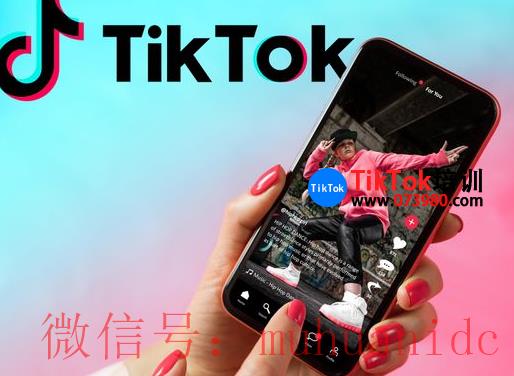 tiktok账号购买平台