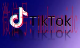 tiktok账号购买平台