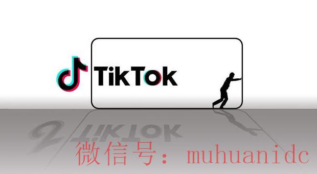 tiktok账号购买平台