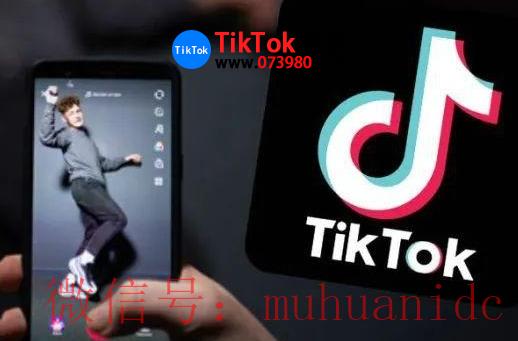tiktok账号购买平台