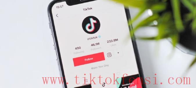tiktok账号购买平台