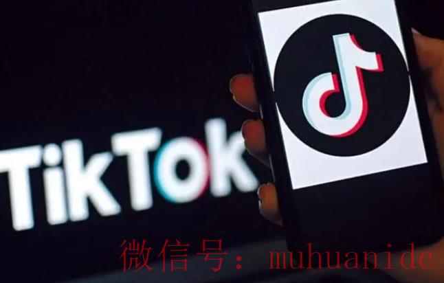 tiktok账号购买平台