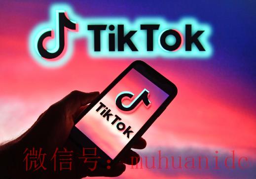 tiktok账号购买平台