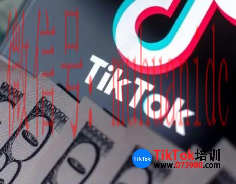 tiktok账号购买平台