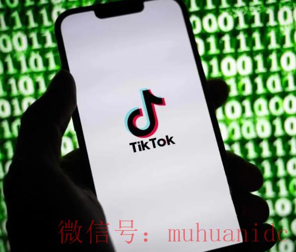 tiktok账号购买平台