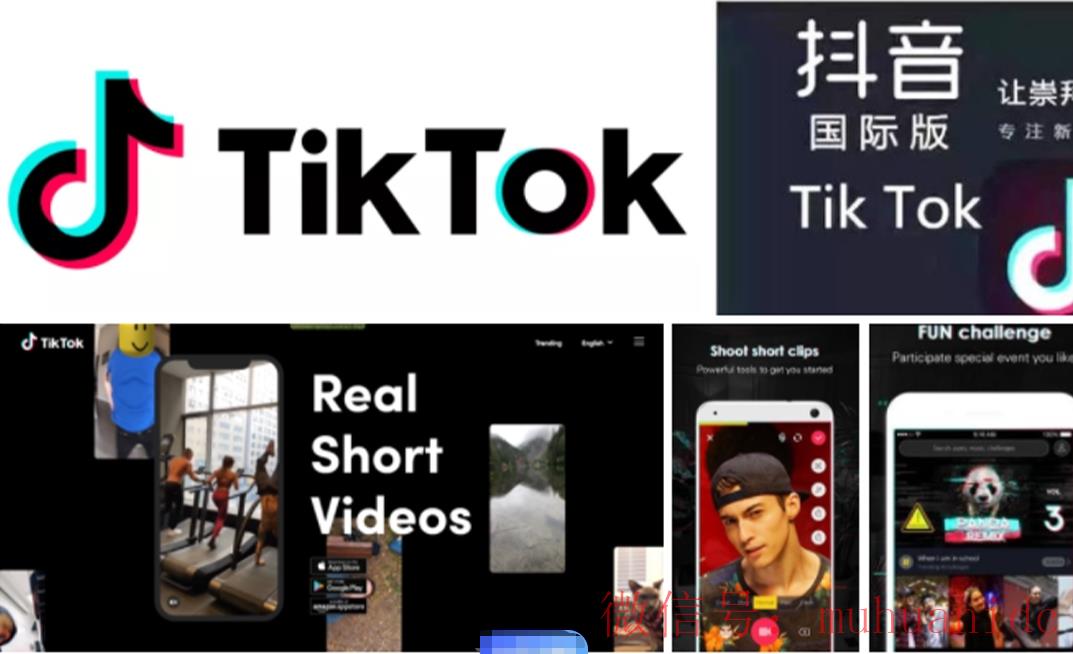 tiktok账号购买平台