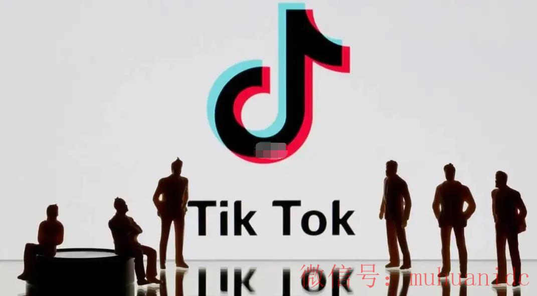 tiktok账号购买平台