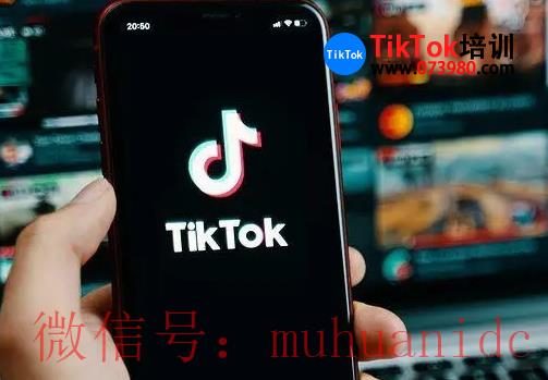 tiktok账号购买平台