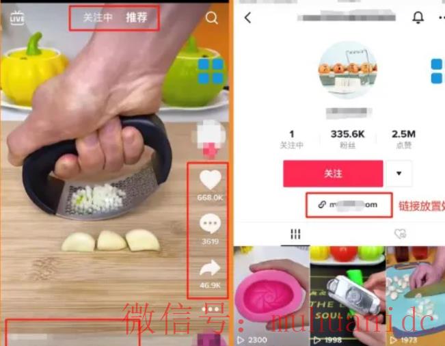 tiktok账号购买平台